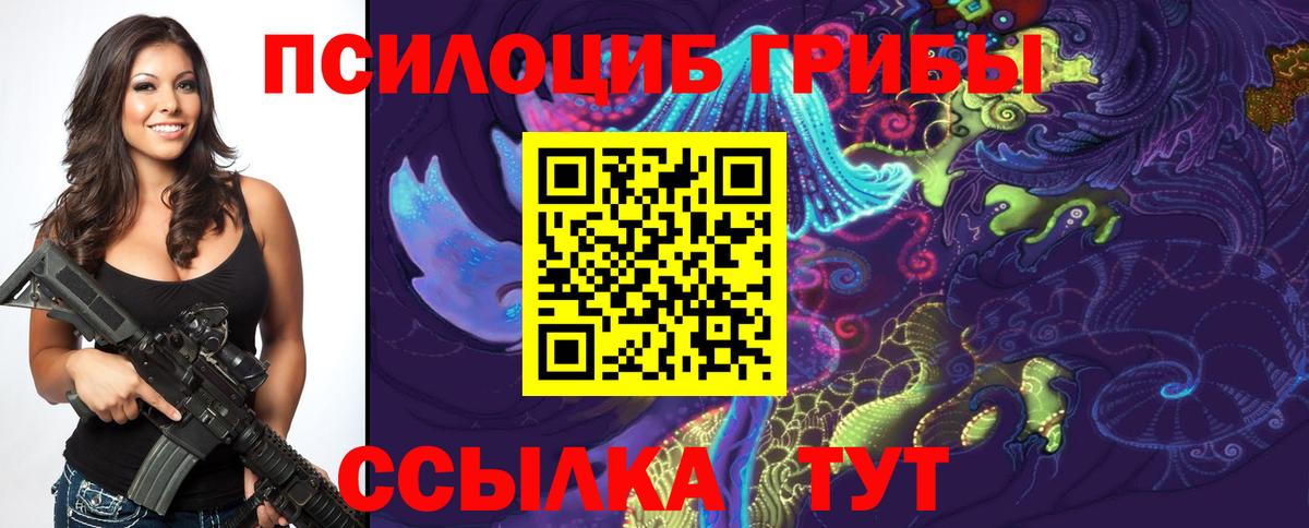 Псилоцибиновые грибы мицелий Зерноград